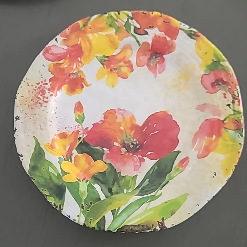 Pier One Rustic Melamine Dinner And Salad Plate Set. 8 Plates
